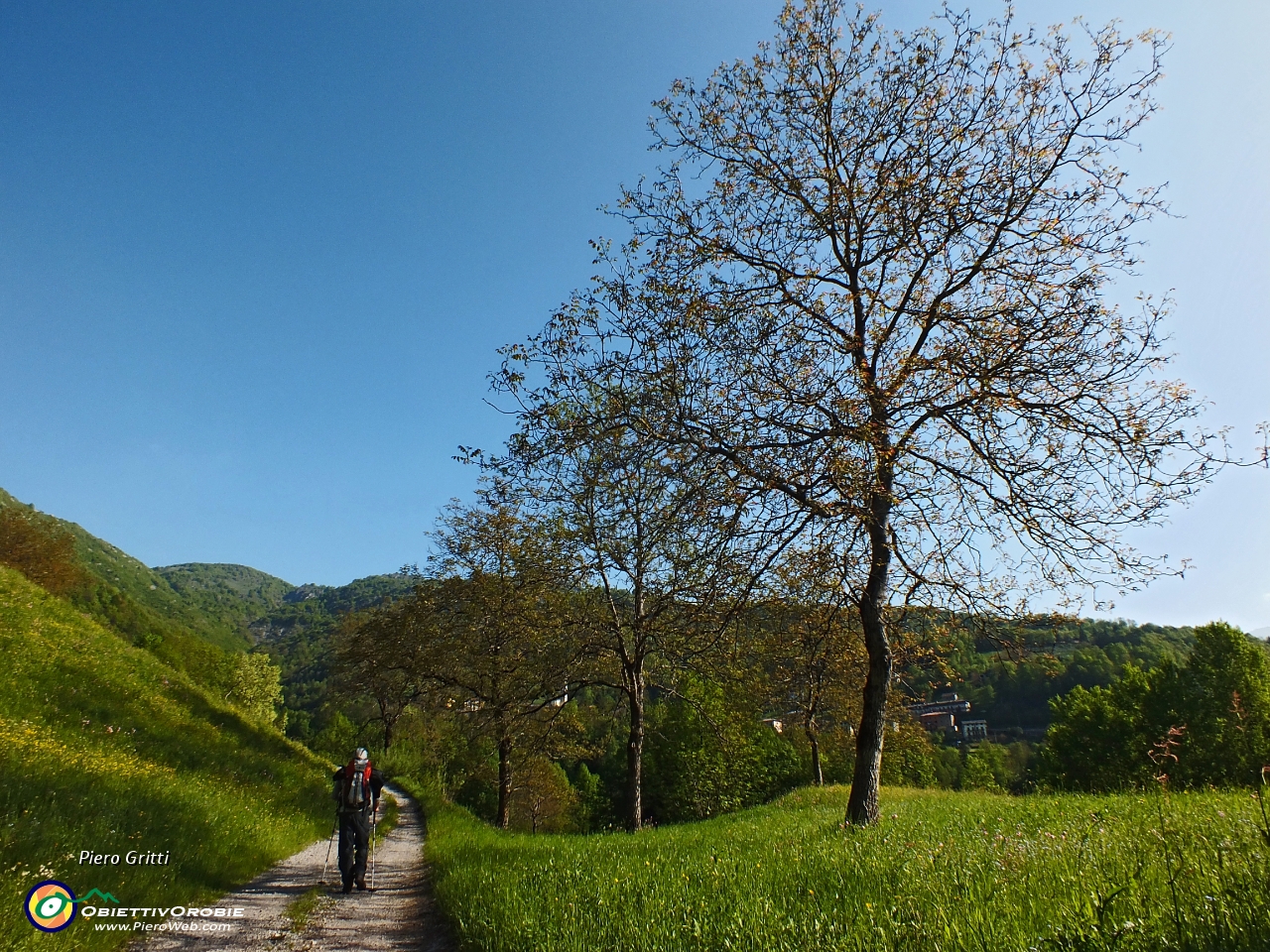 07 Sulla strada sterrata ....JPG